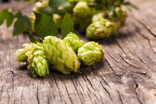 Hops with green leaf on a wooden background