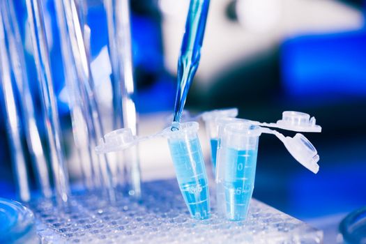 Eppendorf tubes on the rack and pipette. Close up in blue tone