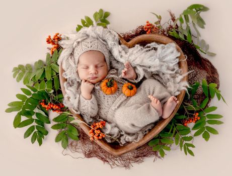 Adorable newborn baby boy wearing cute knitted costume sleeping in wooden heart shape bed with autumn decoration with pampkins. Infant child napping during studio photoshoot