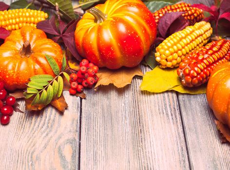 Thanksgiving still life - berries, nuts, corn and pumpkins on a table