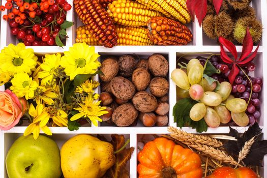 Autumn in a box - fruits, berries, nuts, flowers, corn and pumpkins