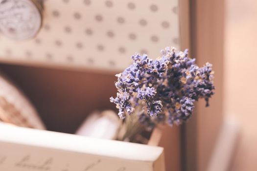 Bunch of dry lavender in decorative little shabby chic chest of drawers