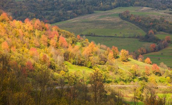 Beautiful autumnal landscape. Road throw the Carpathian mountains