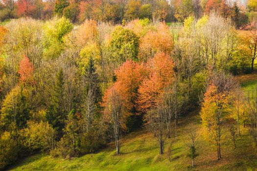 Beautiful country autumnal landscape in Carpathian mountains