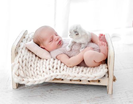 Adorable newborn baby boy sleeping with little fluffy kitten in small stylized bed. Cute infant kid wearing knitted costume napping with kity pet during studio photoshoot