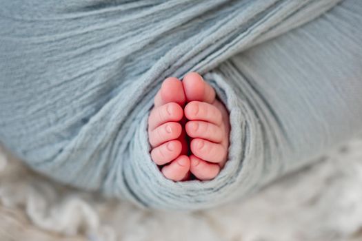 Tiny beautiful cute feet of newborn baby swaddled in light blue grey fabric closeup. Portrait of little legs of infant child. Adorable toe of kid
