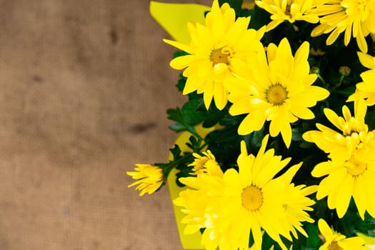 top view on a bouquet of yellow flowers with an orange center.