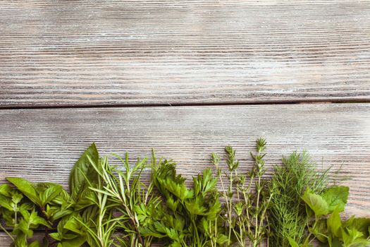 Fresh herbs on the wooden background with copy text