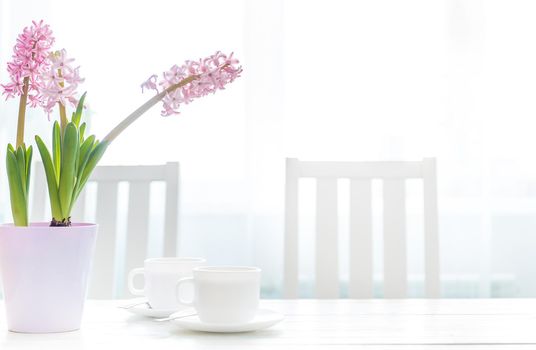 White cups of coffee with hyacinth flowers on the white table against window. Breakfast for Valentine's Day. Morning coffee