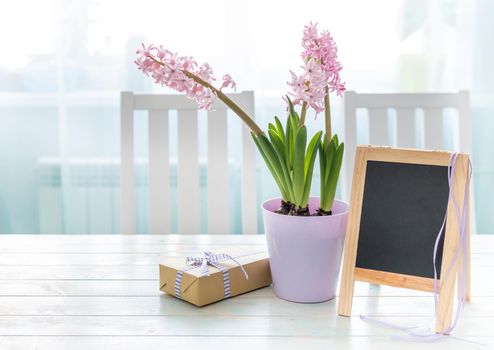 Composition of hyacinth flowers in flower pot with giftbox and small wood framed chalkboard against window