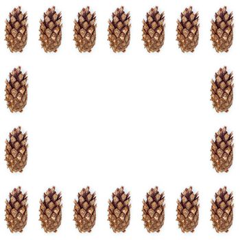 pine cones on white wood table, purity Christmas decoration.