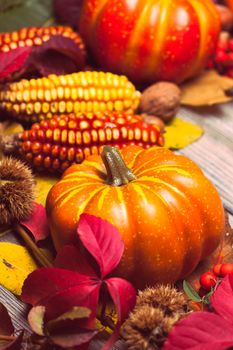 Thanksgiving still life - berries, nuts, corn and pumpkins on a table