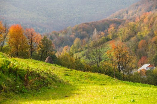 Idyllic country autumnal landscape. Field in mountains