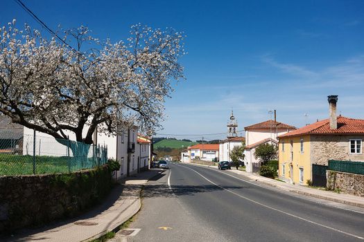 Nice outdoor rustic landscape of the road in the village of Spain with blue skies in spring. The scene from Camino de Santiago, tourist path.