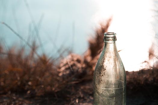 Contamination of the environment by humans. Glass bottle thrown on the garbage on the meadow