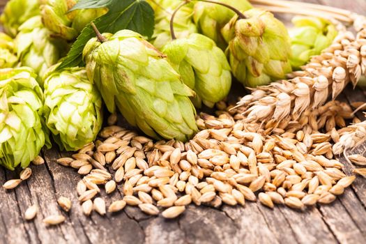 Barley and hops on a wooden background. Beer concept