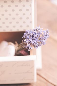 Bunch of dry lavender in decorative little shabby chic chest of drawers