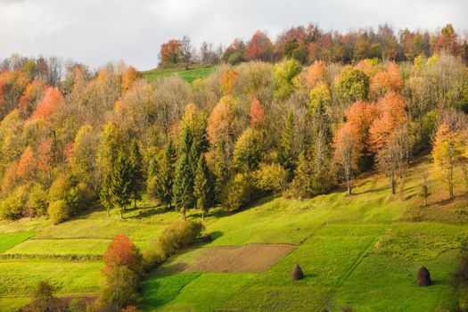 Beautiful country autumnal landscape in Carpathian mountains