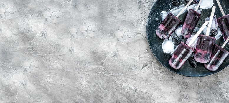 homemade fruit ice cream with mulberry on a concrete background. space for text