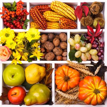 Autumn in a box - fruits, berries, nuts, flowers, corn and pumpkins