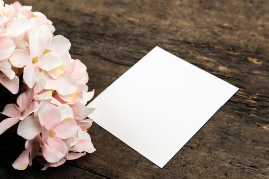 Pastel pink hydrangea flowers and a piece of paper on wood background. Copy space for text.