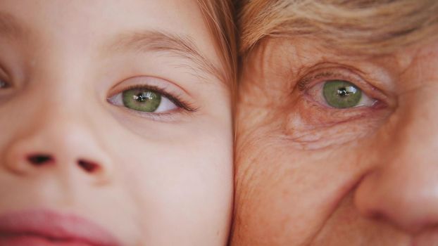 Close up portrait of grandmother and granddaughter. Green eyes