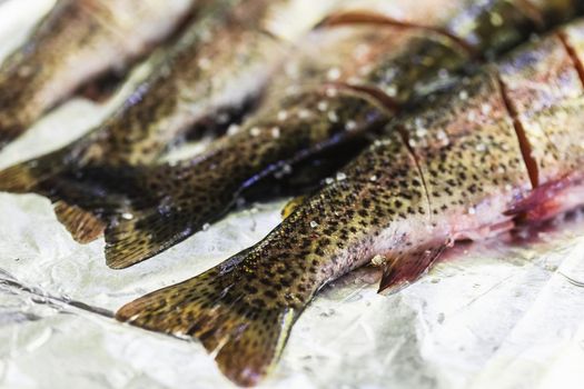 Fresh fish without heads on the foil with salt and spices. Preparing trout fish for grilling. Summer picnic after fishing