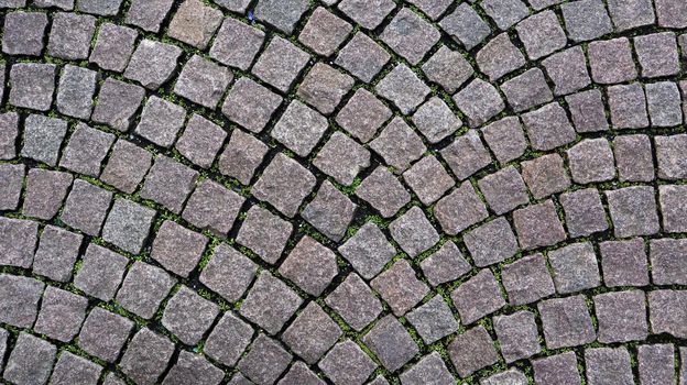 The texture of the paved tile of the street. Concrete paving slabs. Paving slabs. Grass between the slabs. Texture of paving slabs overgrown with grass. Background image of a stratum stone.