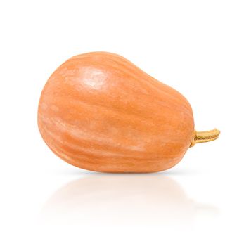 Orange pumpkin isolated on a white background with shadow and reflection.