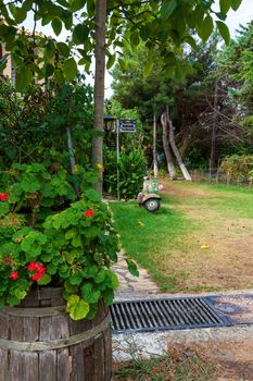 An old abandoned painted motorcycle in a garden at Corfu island, Greece.