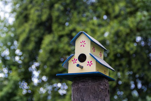 handmade houses for birds hand painted on the tree trunk in spring