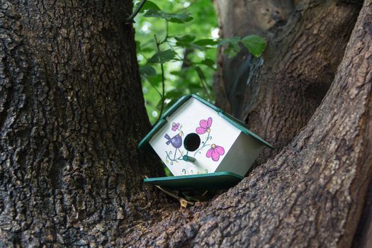 handmade houses for birds hand painted on the tree trunk in spring