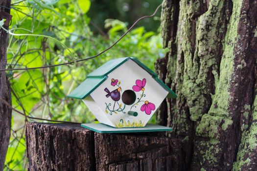 handmade houses for birds hand painted on the tree trunk in spring