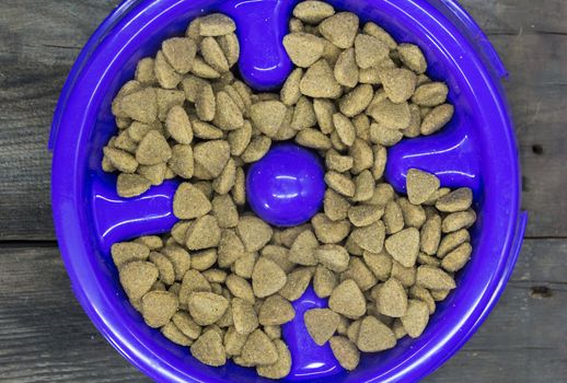 plastic plate eat slow with balanced food for dogs and cats