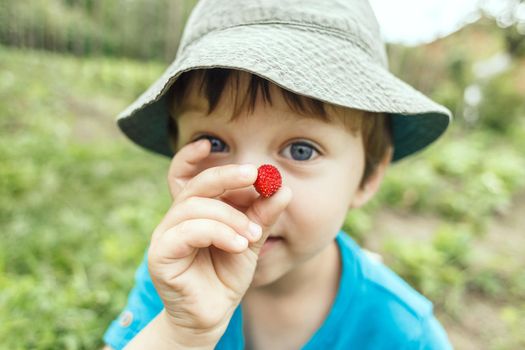 Boy showing a small strawberry picked in the garden. Focus on the berry