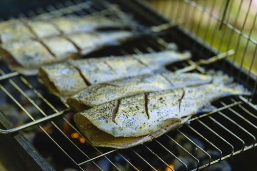 Preparing fresh trout fish on charcoal grill for Summer picnic party