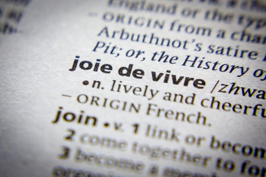 Word or phrase Joie de vivre in a dictionary