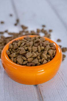 Dry pet food in a orange bowl.