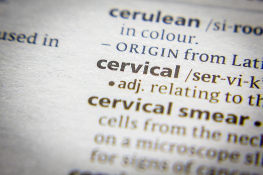 Word or phrase Cervical in a dictionary