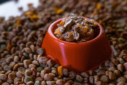Natural wet pet food in a red or orange plastic bowl.