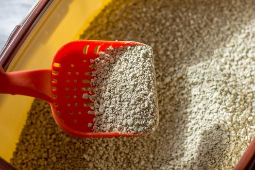 Cat toiler - litter in a box with red plastic scoop