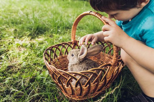 Little boy and grey baby rabbit in basket. Easter festive background