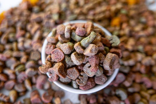 Dry pet food in a white ceramic bowl.