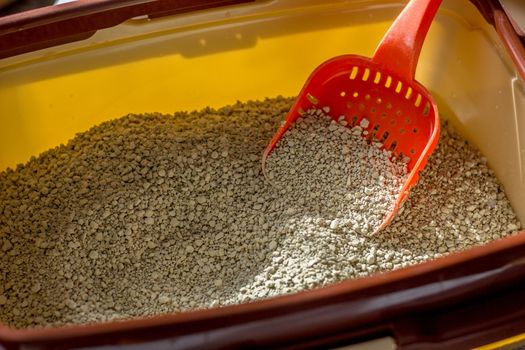 Red plastic scoop with the litter on a cat litter box.