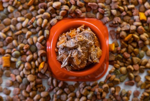 Top view of wet pet food surrounded by dry pet food.