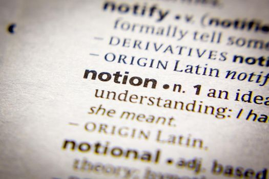 Word or phrase Notion in a dictionary