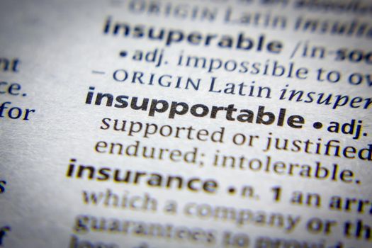 Word or phrase Insupportable in a dictionary