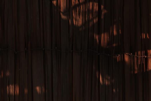 Empty wooden wall with shadow form tree texture background