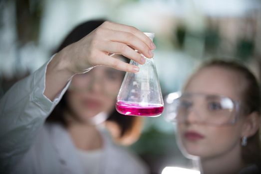 Chemical laboratory. Two young woman holding a flask with pink liquid in it and looking at it. Flask in focus. Close up