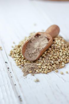 Coriander seeds on a white table and grounded spice in wooden spoon